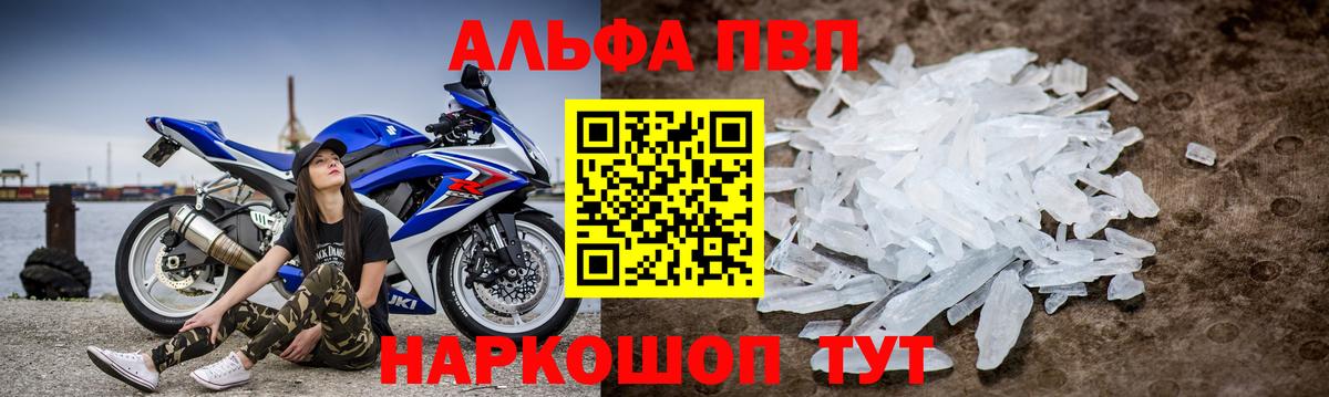 Alfa_PVP СК КРИС Тихорецк