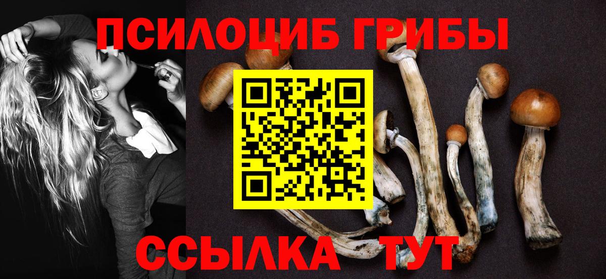 Тихорецк  наркота  Вход с VPN  Галлюциногенные грибы мухоморы 