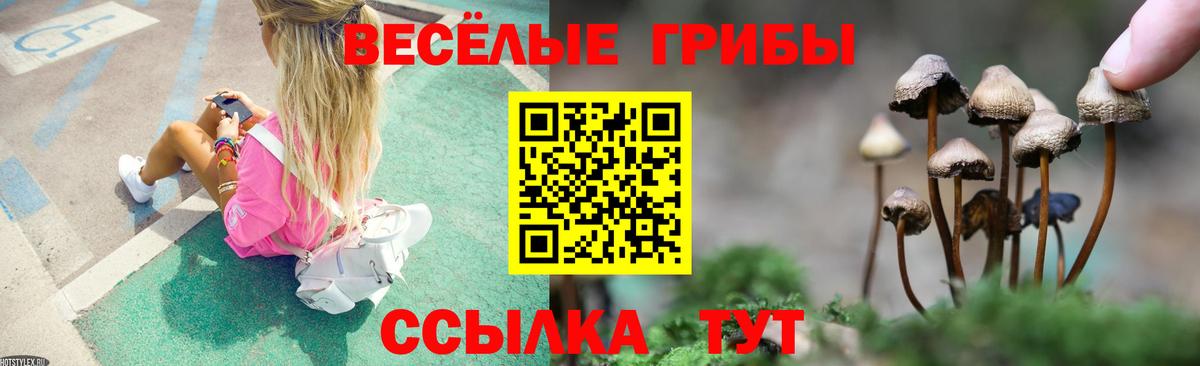 APVP Тихорецк